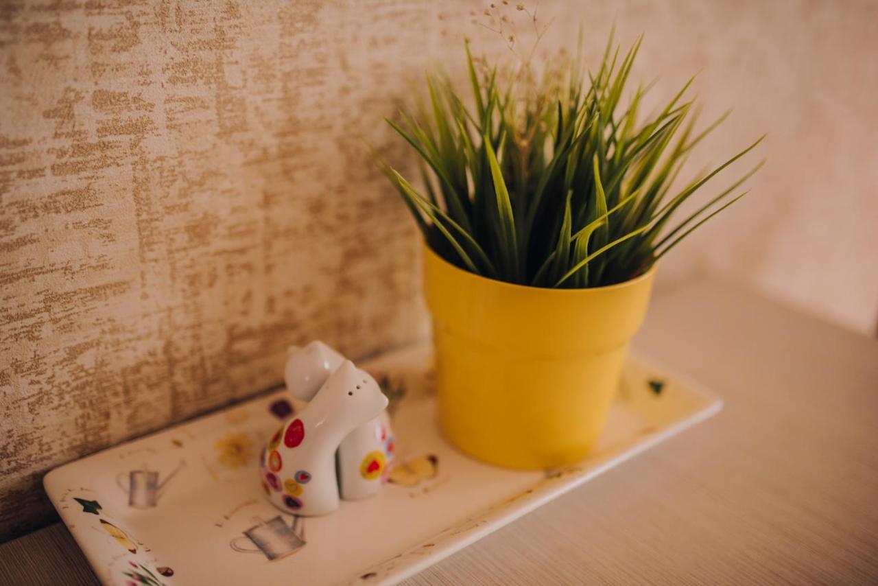 Villa Jkc 브르노 외부 사진